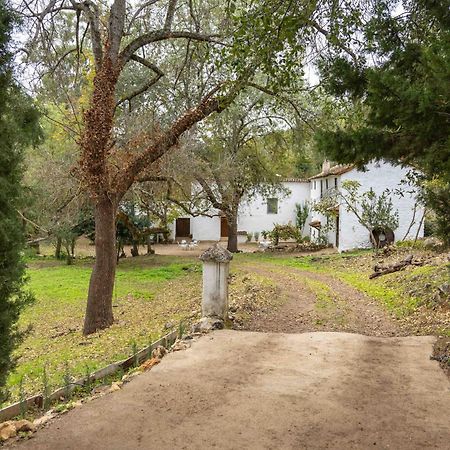 Villa Molino De Gris Cazorla Chilluevar Esterno foto