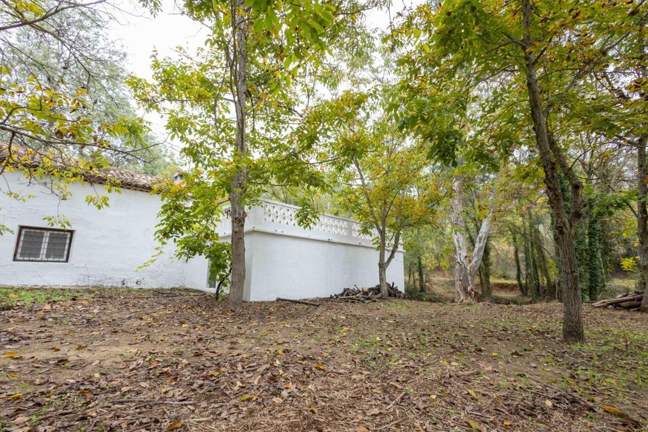 Villa Molino De Gris Cazorla Chilluevar Esterno foto