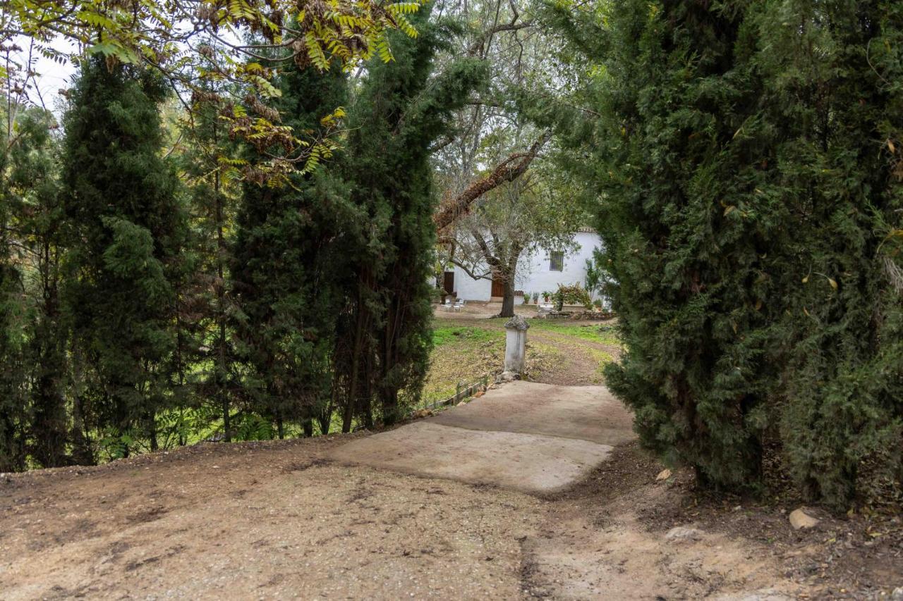 Villa Molino De Gris Cazorla Chilluevar Esterno foto